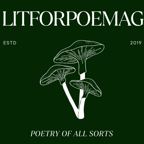 Literary Forest Magazine